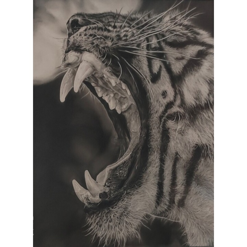 ‘R O A R’  To Save The Wildlife Drawing by Tejendra Tejendra Singh Bisht | ArtMajeur